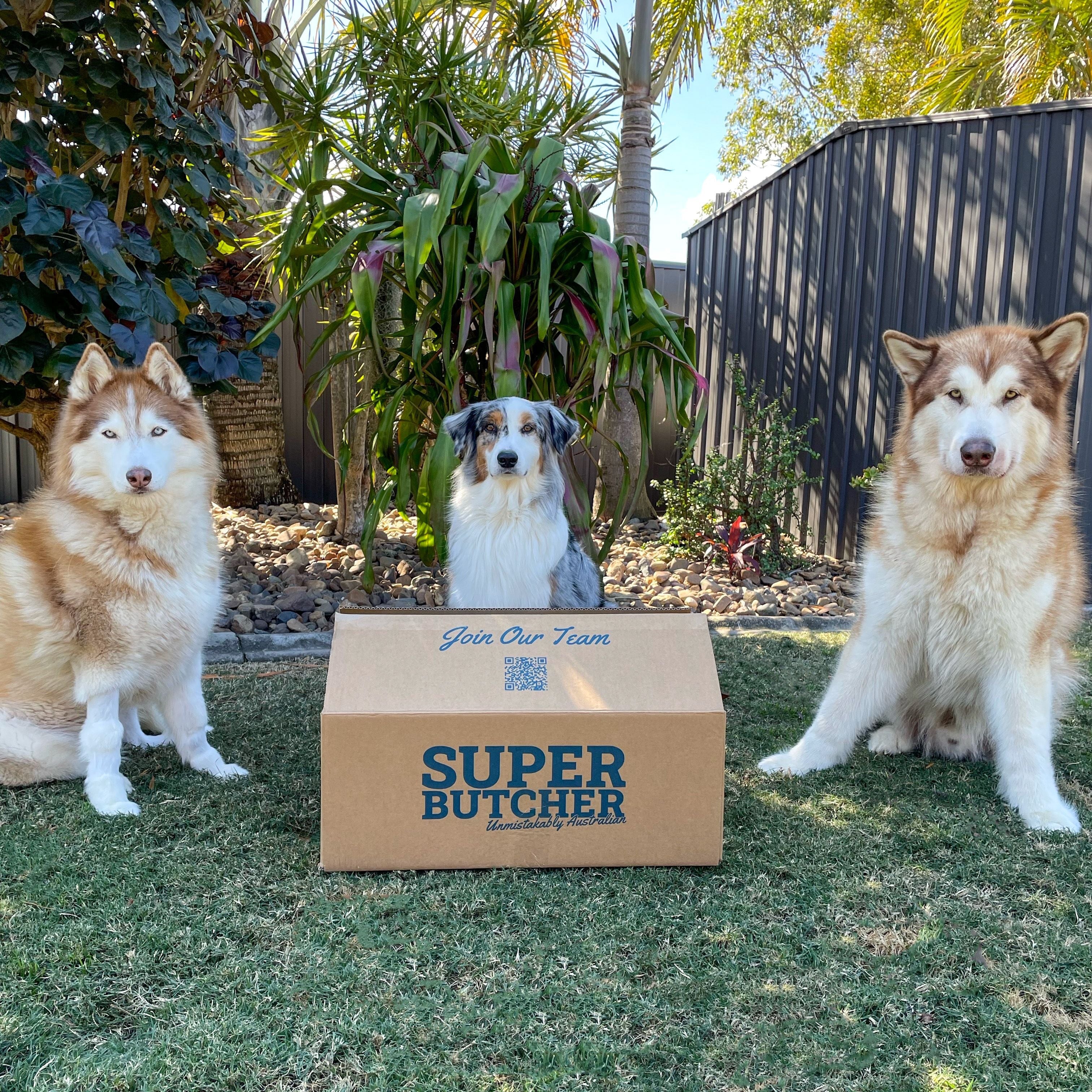 Gourmet Pet Mince | $7.99kg (Online Only) - Image 2