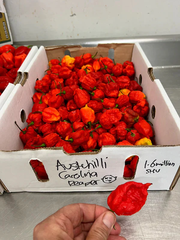 Smoke Haus Hot Hot Hot Sauce with Roasted Pepper & Smoked Carolina Reaper 140ml - Image 3